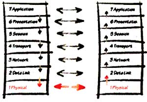 The OSI model has seven levels