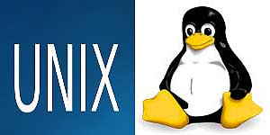 � 60-� ��. �������� �������� ��� ������� ������� �� ���������� ������������ ������� UNIX. � 1991 �. ����� ��������� ������� ���� UNIX - Linux
